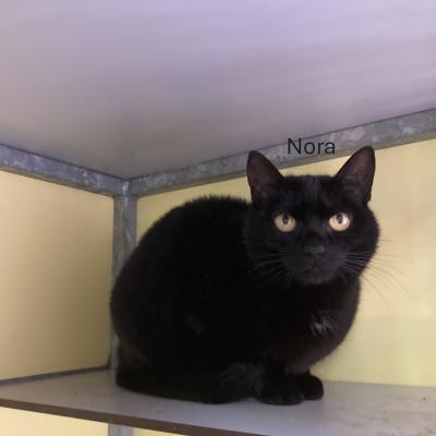 Nora en Victoria